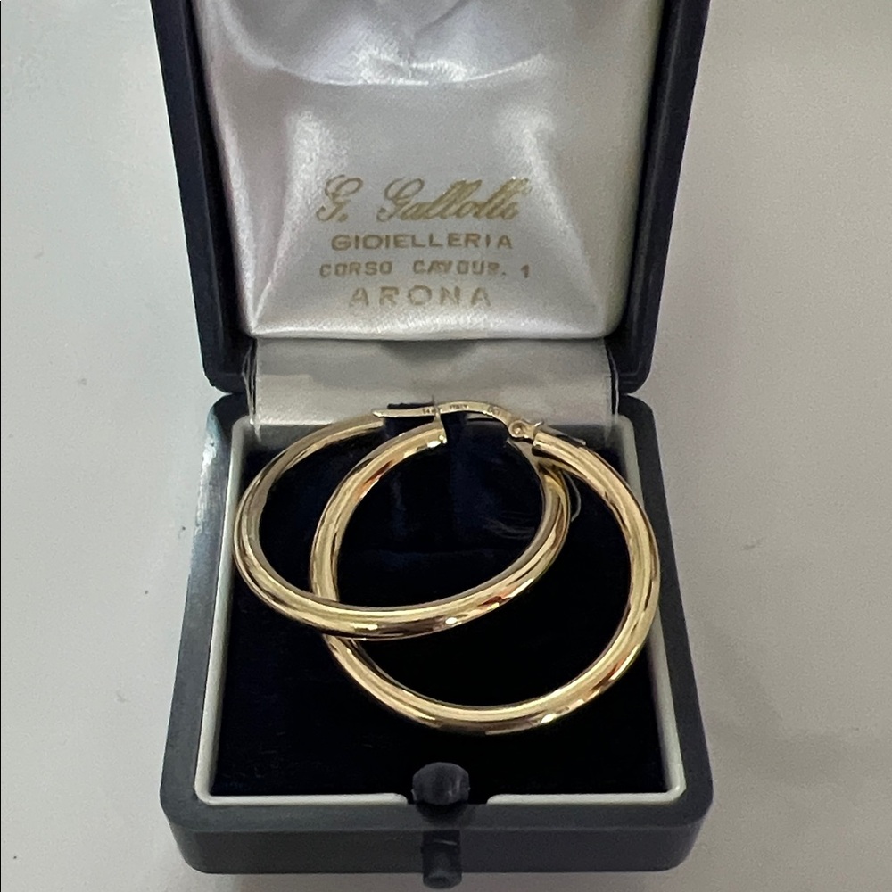 Elegant Gold Hoop Earrings